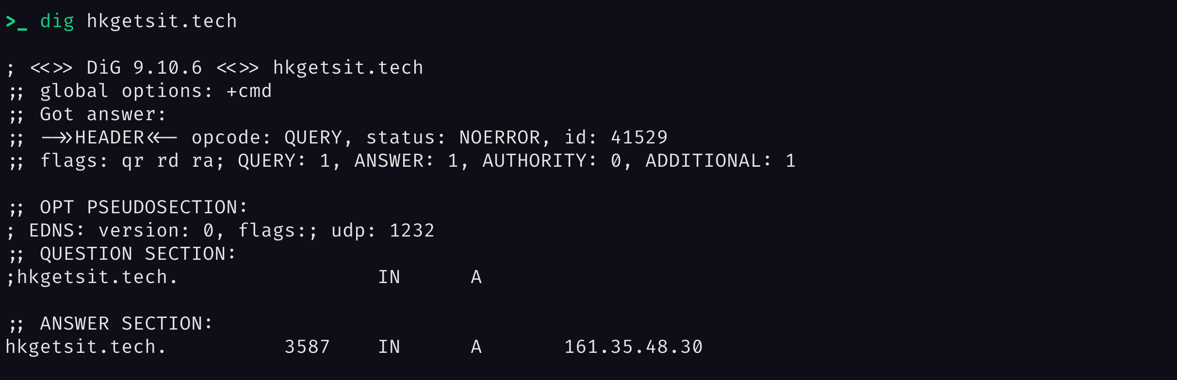 server in
